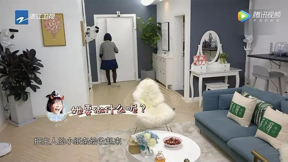 客厅实用盆栽植物有哪些,客厅一般放什么植物盆栽比较好