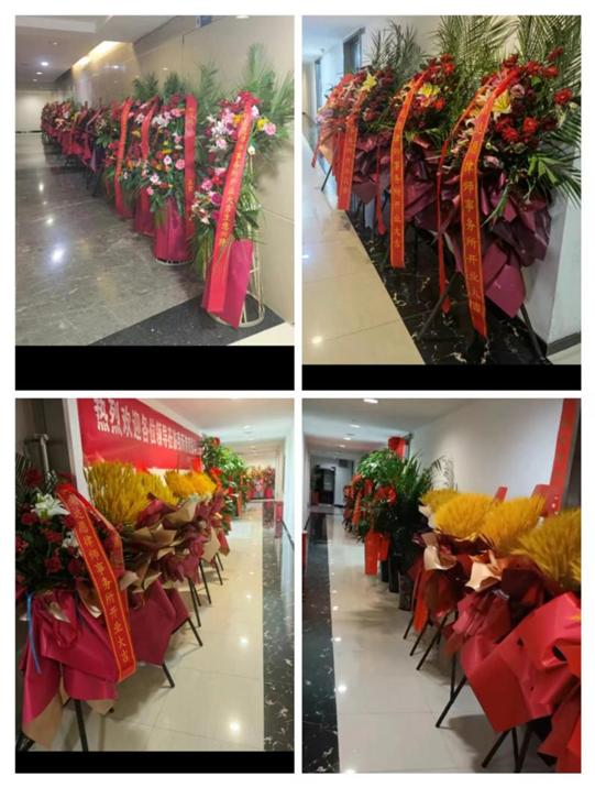 开业庆典齐相聚，励精图治展宏图