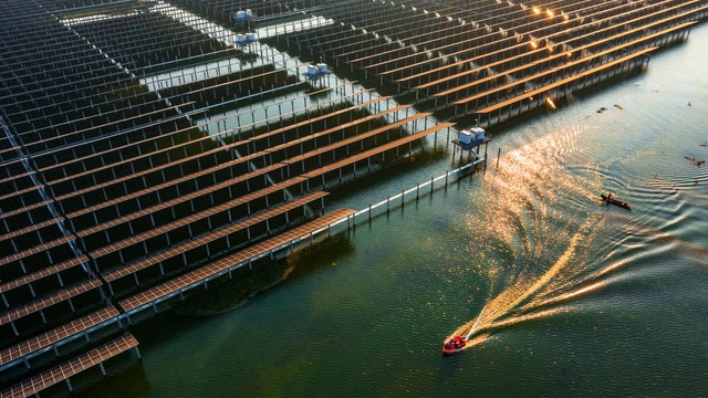如何努力赚钱买房,女朋友催我赚钱