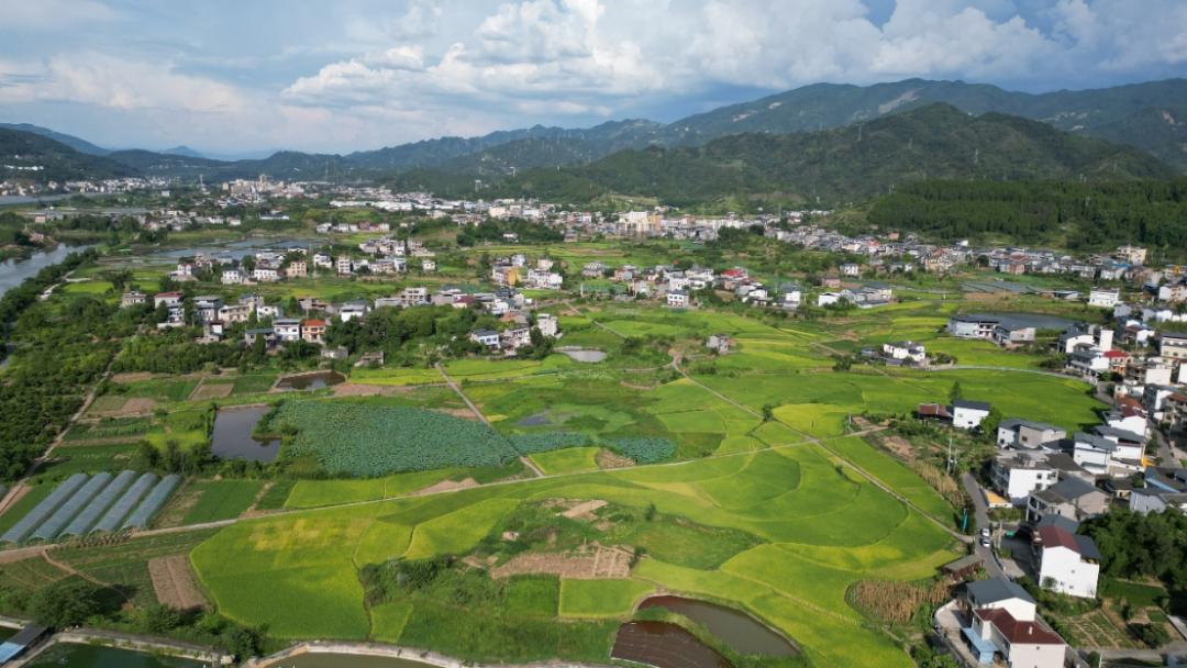 重庆市开州区乡村振兴产业图片,重庆开州区乡村振兴文件