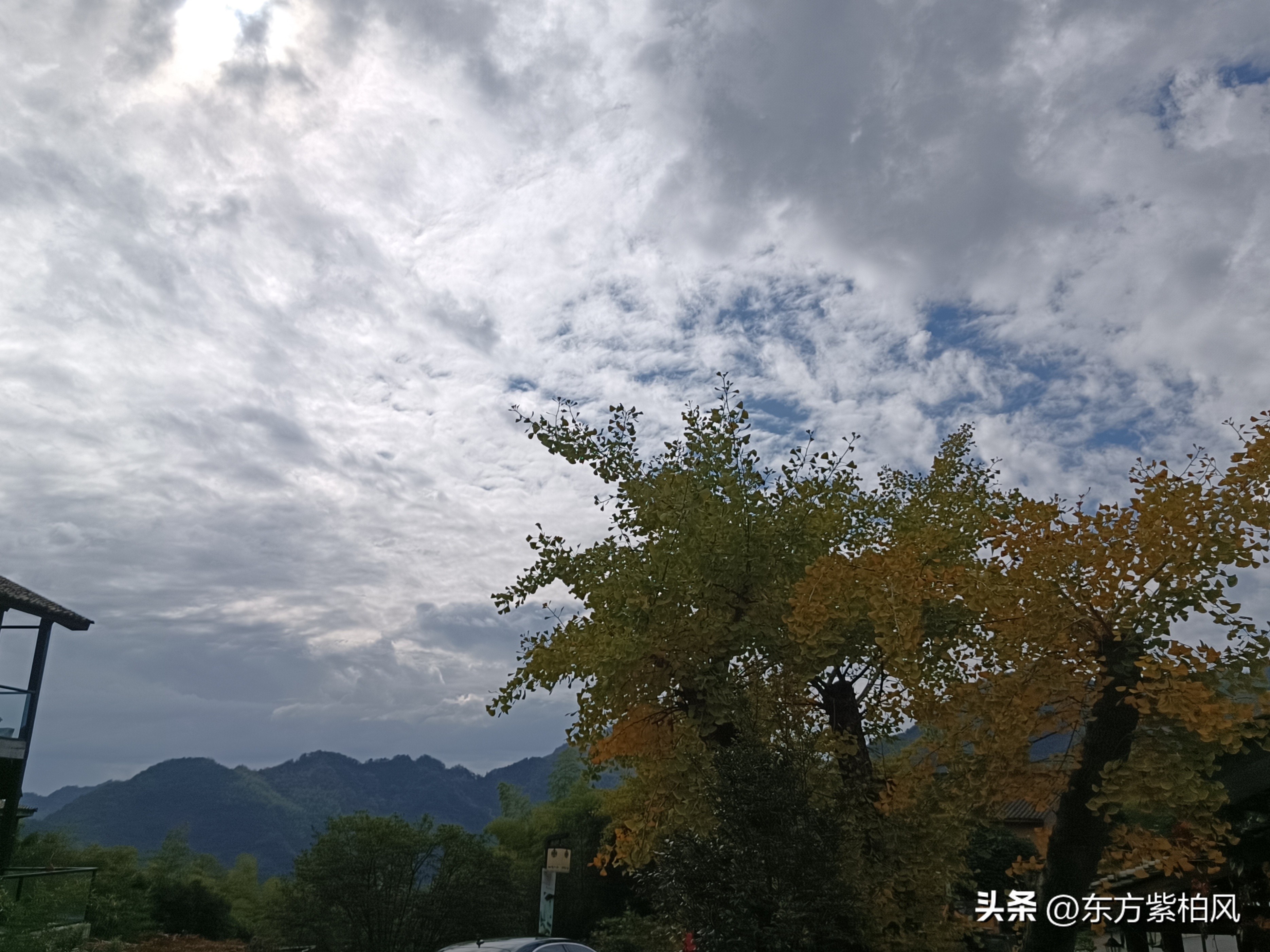 义乌大寒尖春季旅游,义乌大寒尖旅游饮食