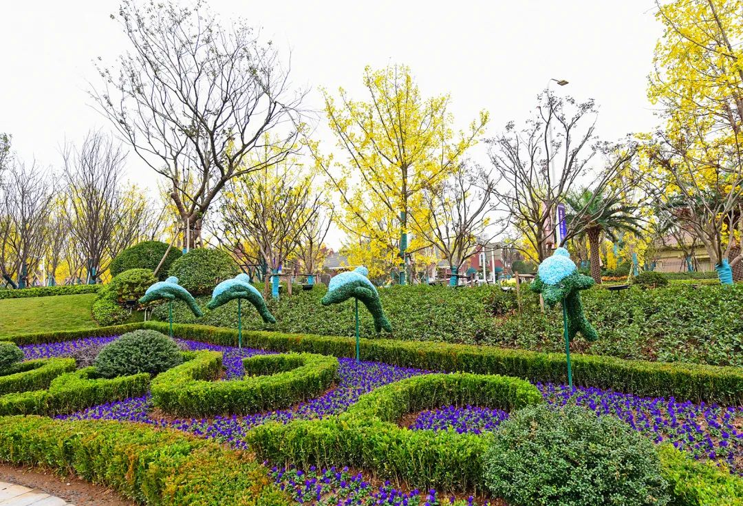 武汉恒大科技旅游城24小时生活图鉴慢下来，尽情享受生活的美好