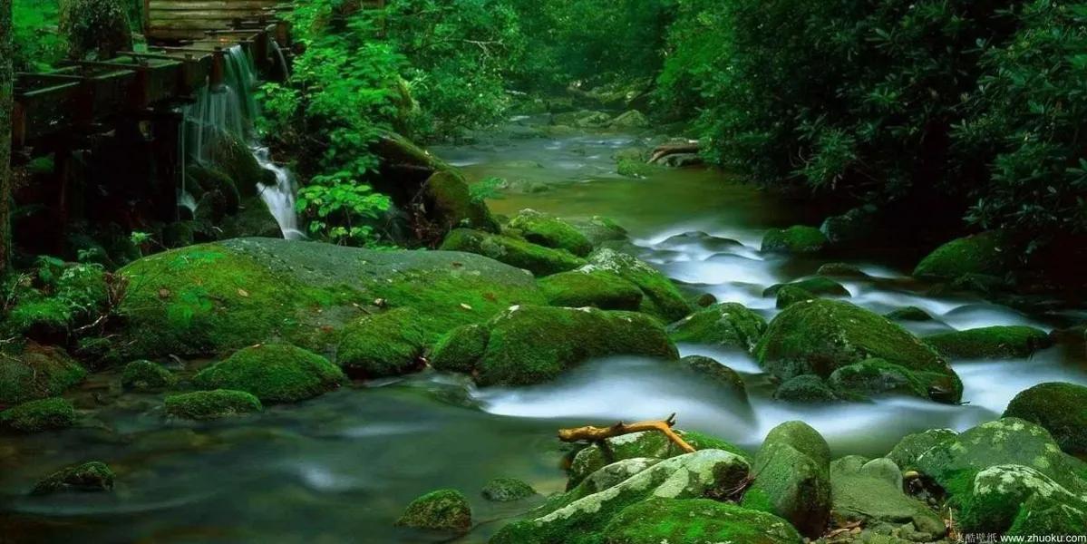 中庸智慧精华解析,中庸之道是先圣先贤的智慧结晶