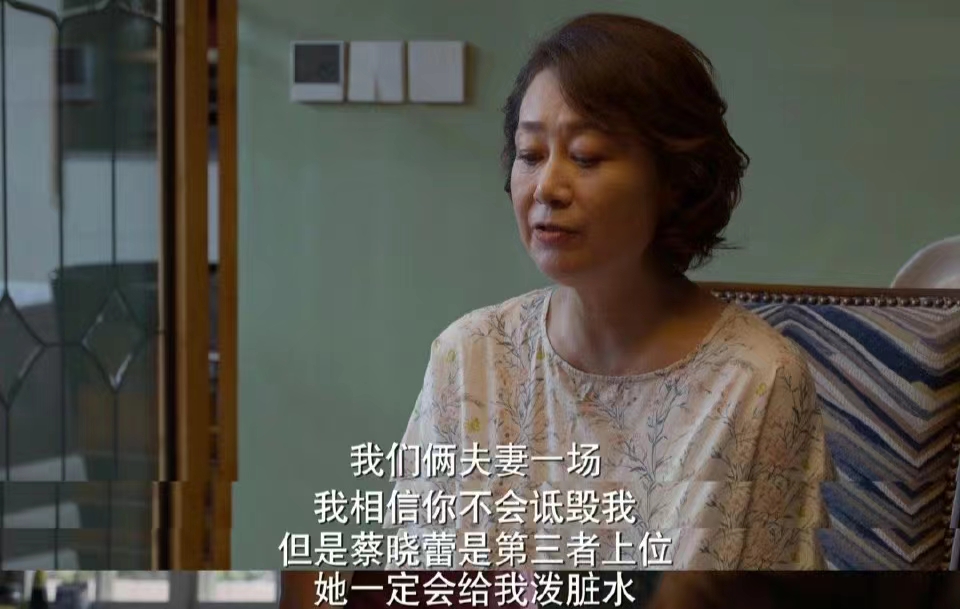 平凡之路蔡小蕾和左建国结局,平凡之路蔡晓蕾与左大为结局