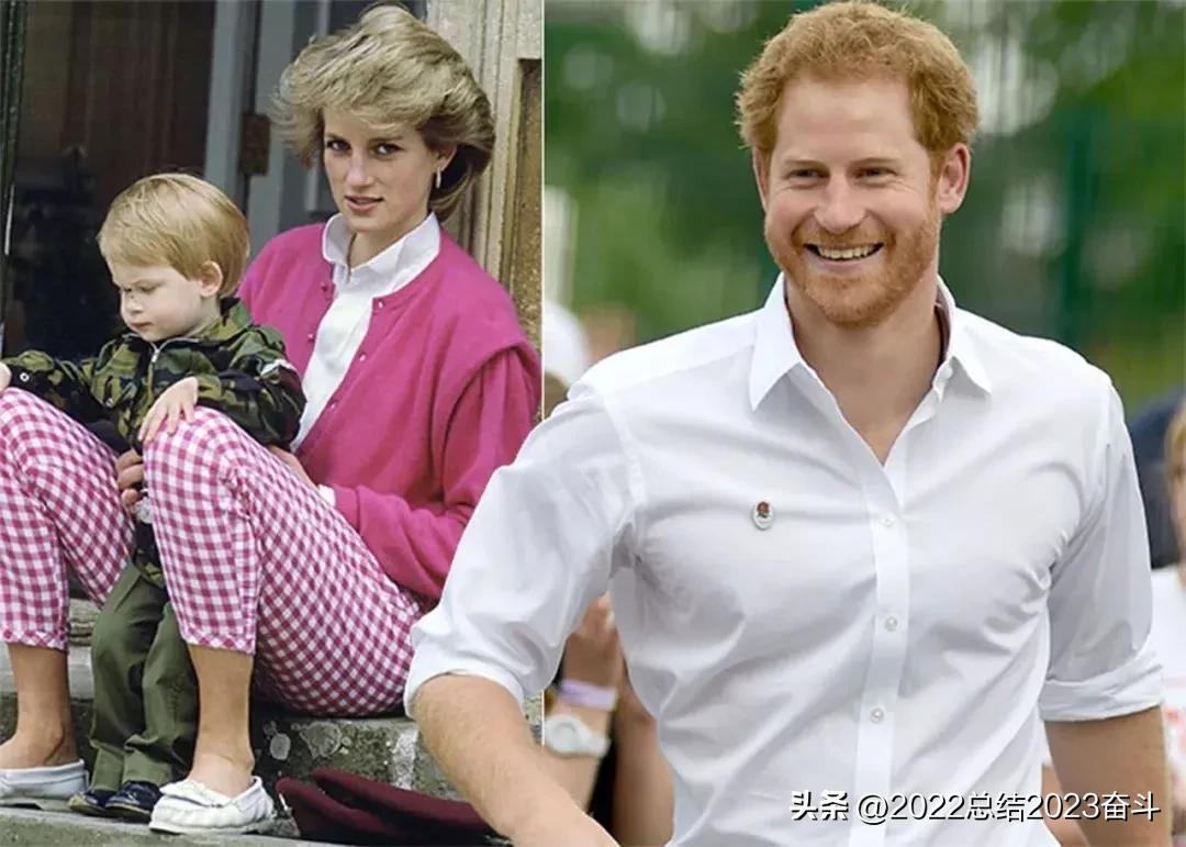 哈里王子新书备胎,哈里王子拟出回忆录