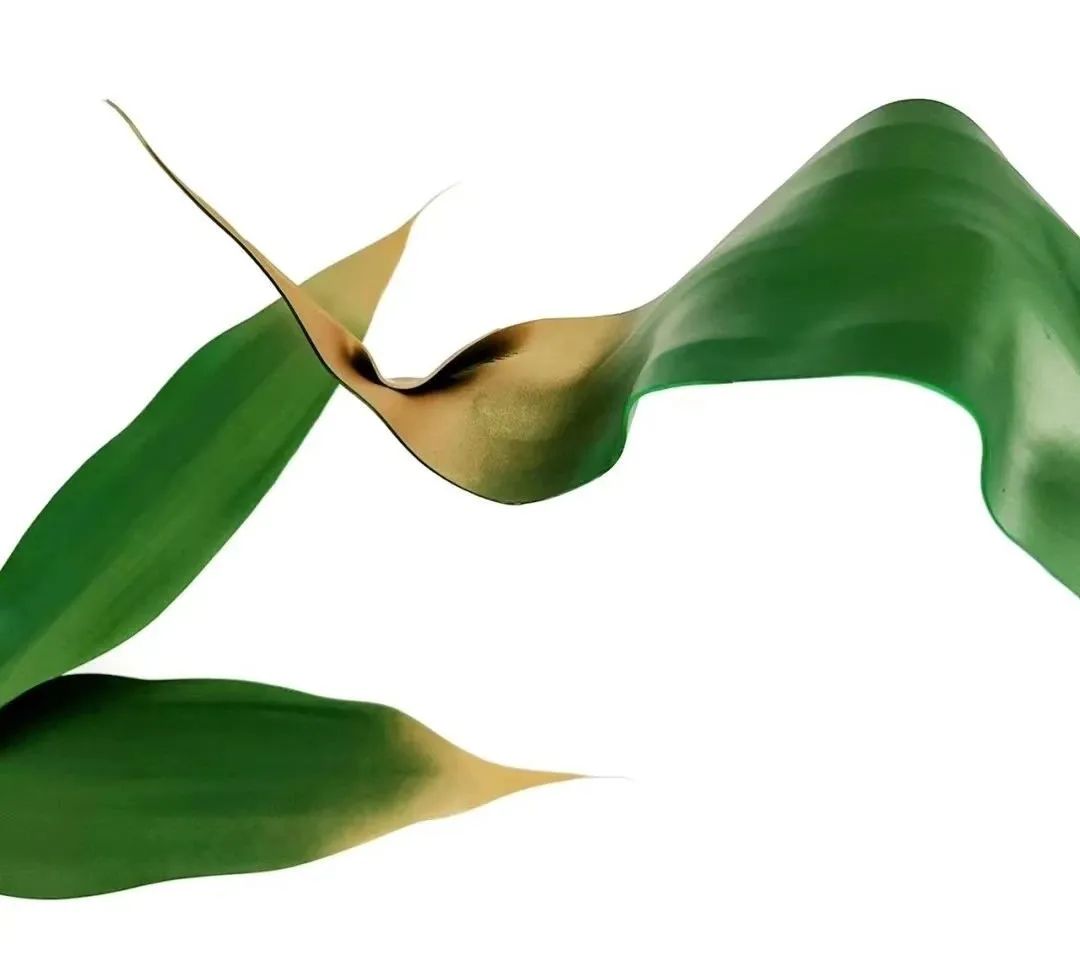 34岁转行即火|大品牌、明星争相找这位新手做花