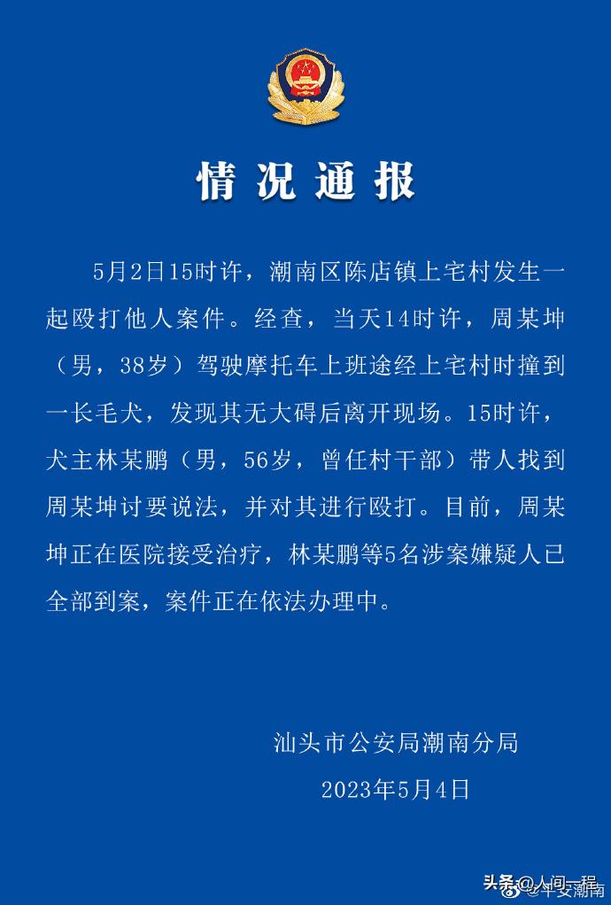 视频还原真相：村干部权力大的你想不到！狗狗：看以后谁敢惹我