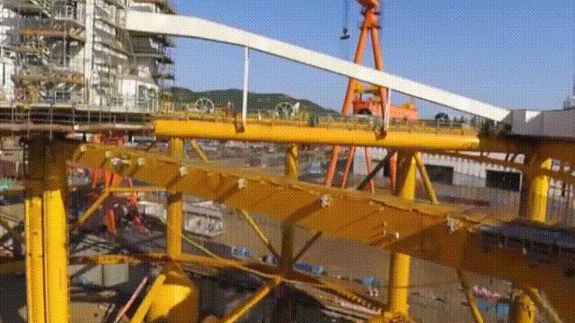 三文鱼水光真假分辨,哪种才是真正的三文鱼