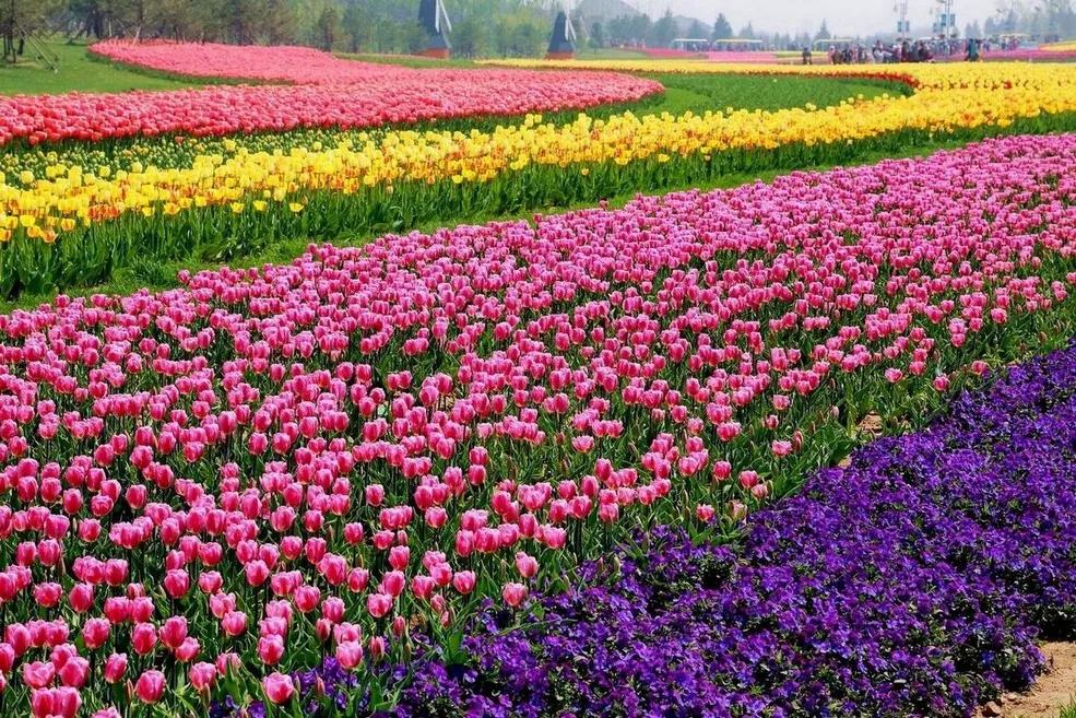 辽宁锦州世博园旅游,辽宁锦州世博园