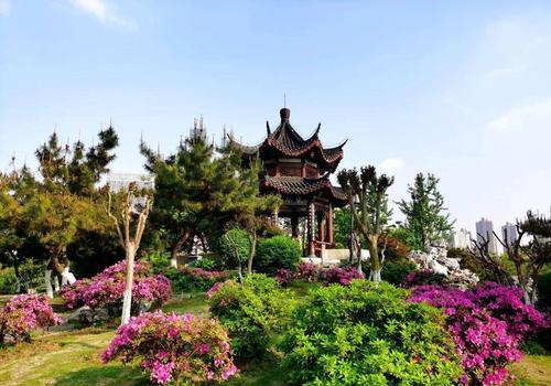 湖滨花园命案,湖滨花园怪事