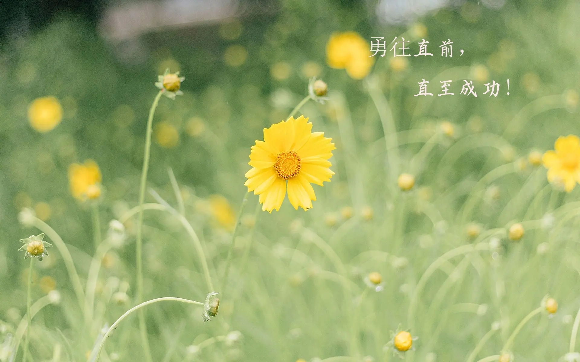 你用过哪些古诗词当作座右铭,古诗词座右铭简短走心怎么写