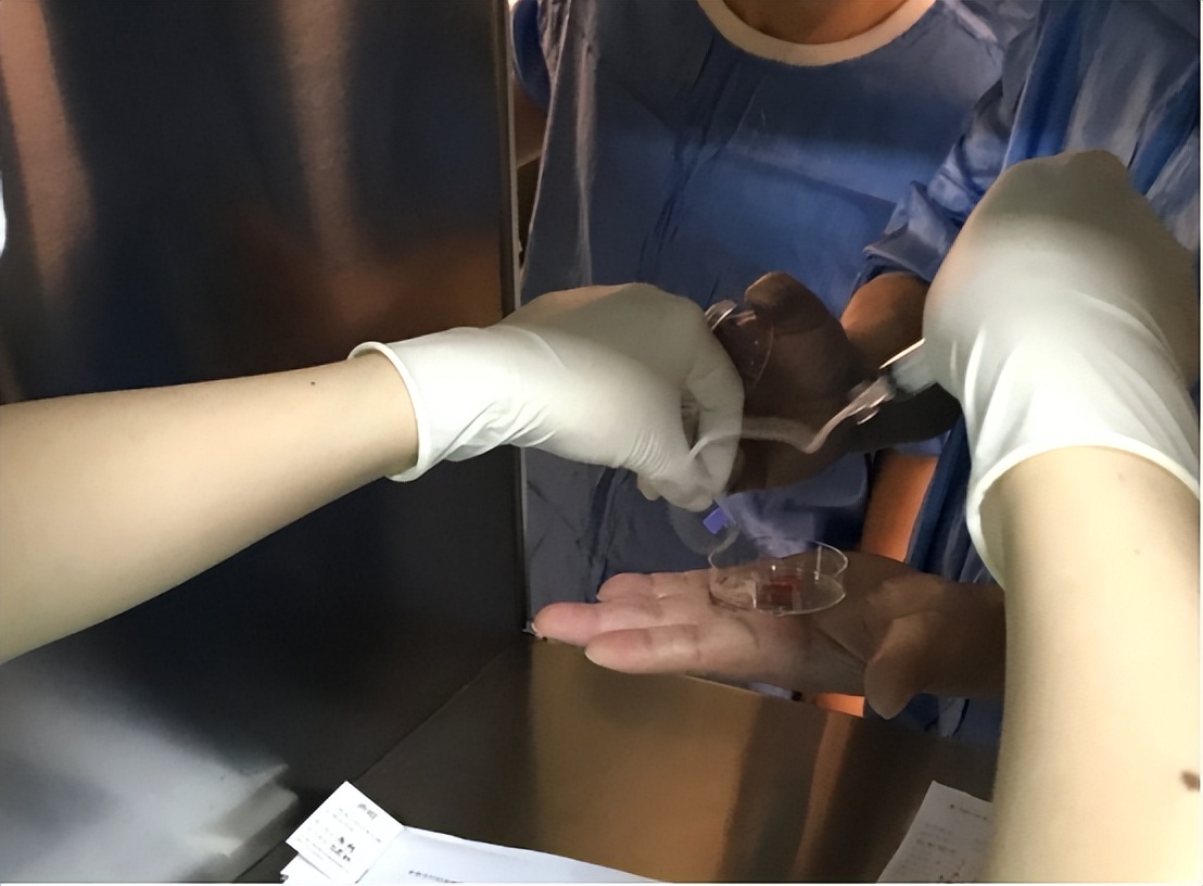 女大学生贪慕虚荣以为找到真爱,女大学生贪慕虚荣以为真爱