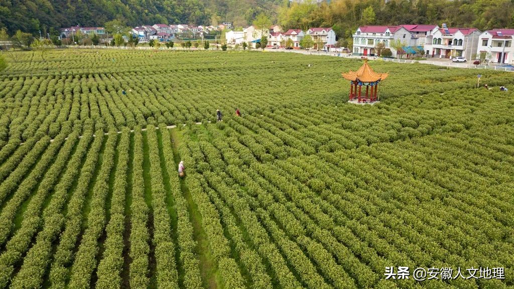 安徽六安市金寨县梅山水库风景区,六安有几个水库风景区