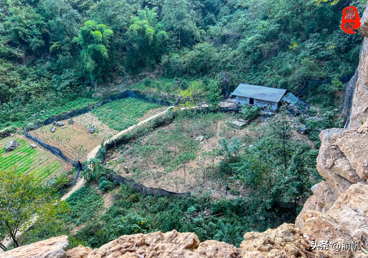 重庆深山悬崖上发现辉煌建筑房屋,重庆大山悬崖峭壁发现千年古房子