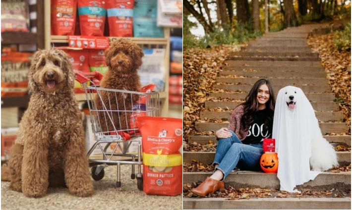 官宣：乐它成为StellaChewy′s星益生趣中国大陆地区线下总代