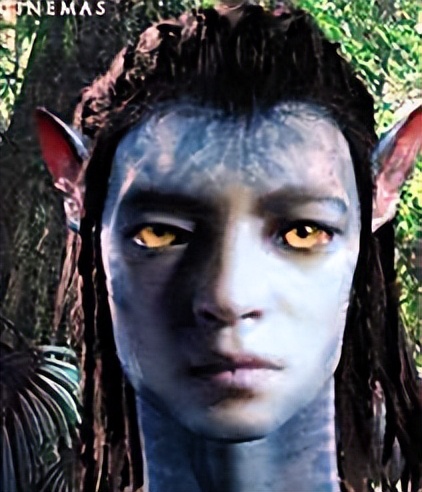 阿凡达当年在中国的火爆场面,阿凡达当年的火爆盛况