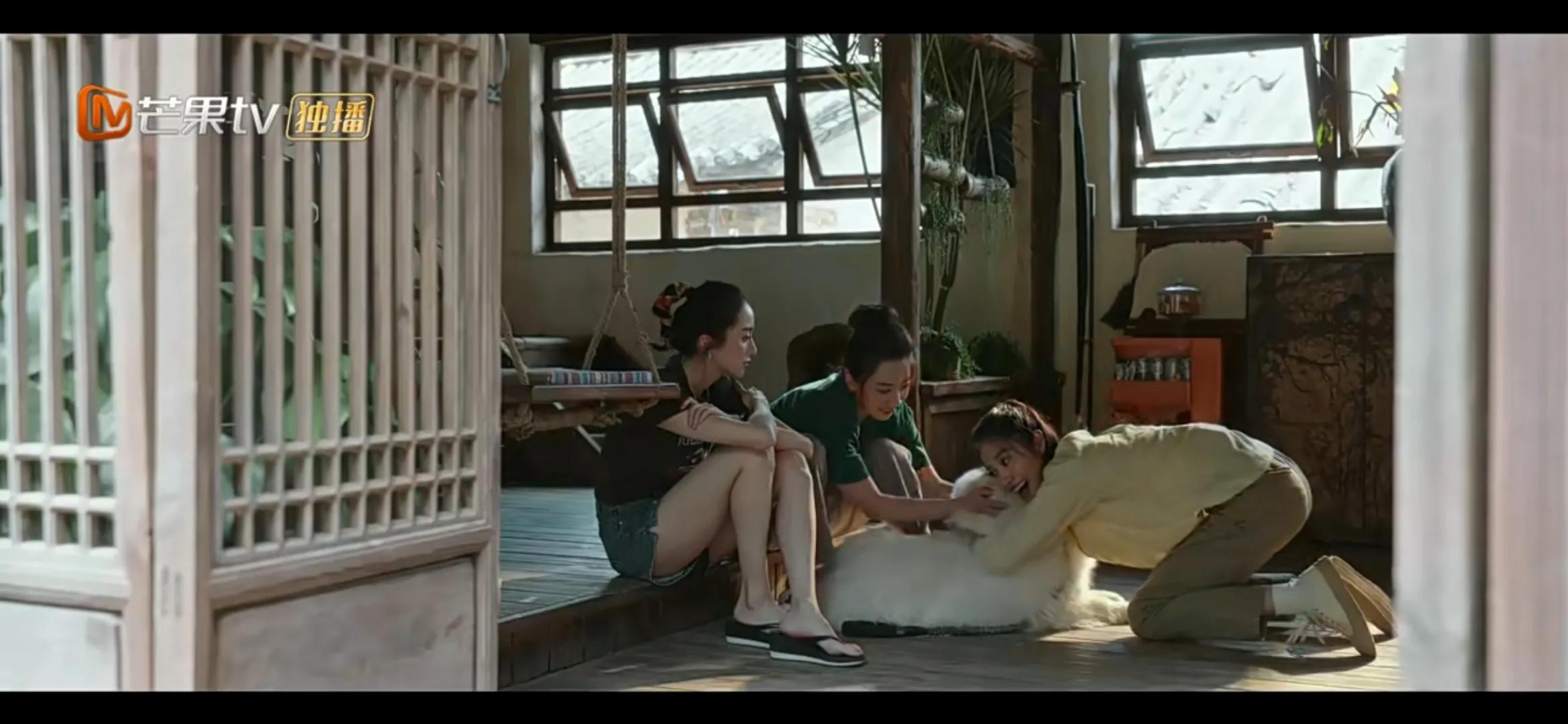 《去有风的地方》许红豆陪娜娜走出网暴阴霾，娜娜直面人生再直播