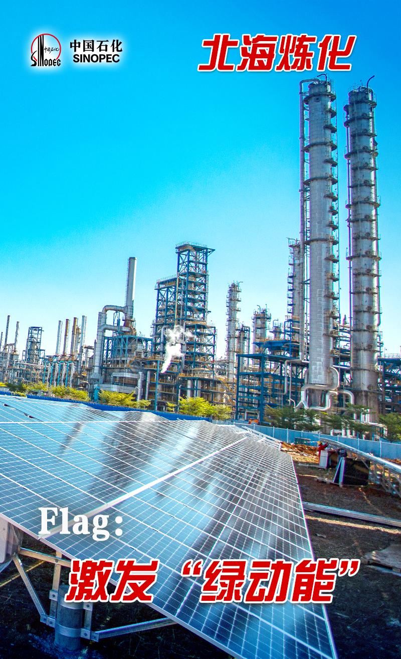 中国石化企业的现状,中国石化国内最新项目