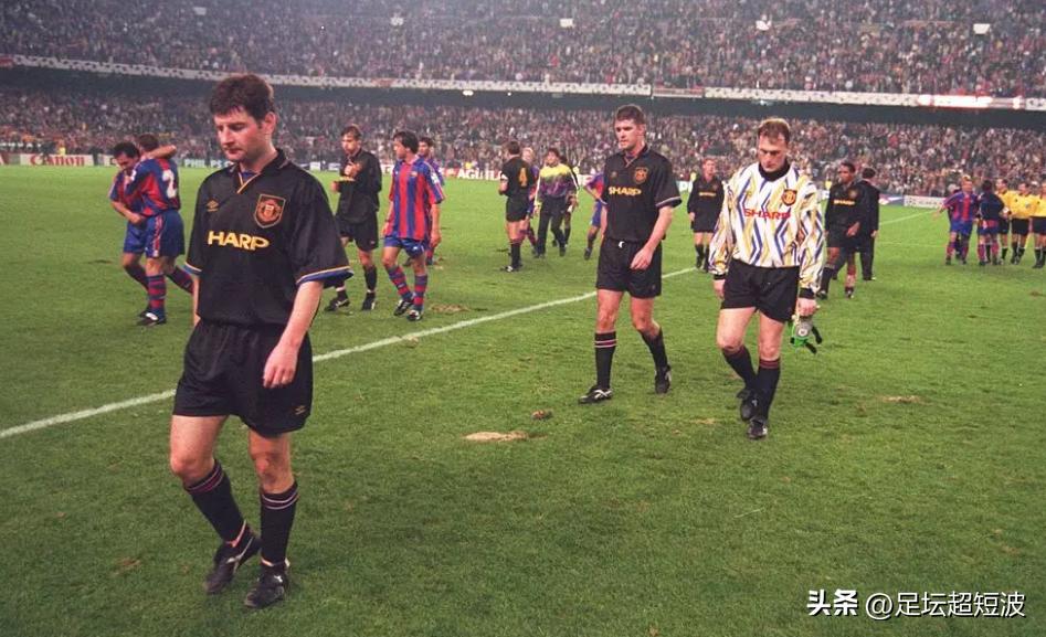 喜鹊死亡的视频,喜鹊之死完整视频