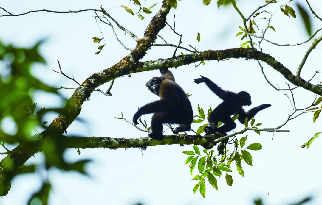昆明七彩云南怎么样,七彩云南避暑家园