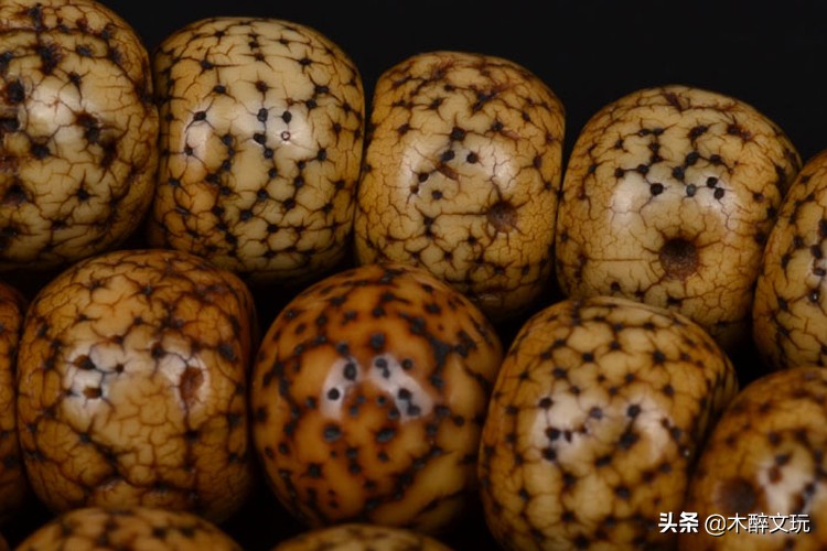 真的没有“百年”星月菩提吗？文玩大神带你揭开，星月菩提的身世