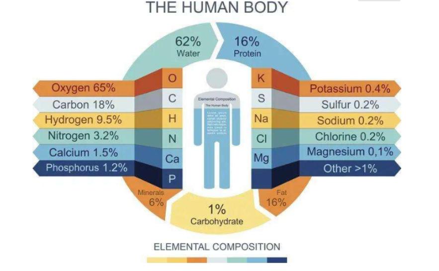 人死后的骨灰可以分几份存放吗,骨灰下葬多年后会变成什么