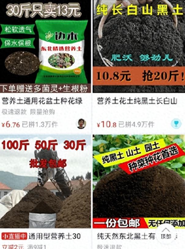 熊猫40年血泪史,大熊猫之殇