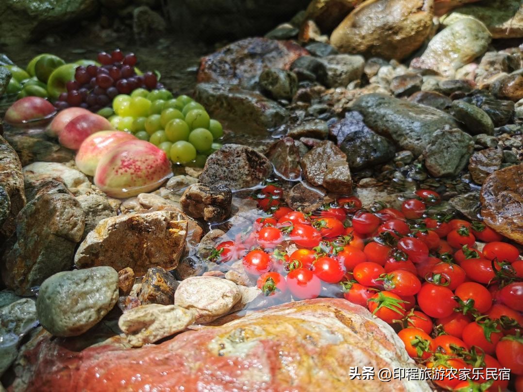 浙江高山避暑农家乐,浙江避暑最好包吃住的农家乐推荐