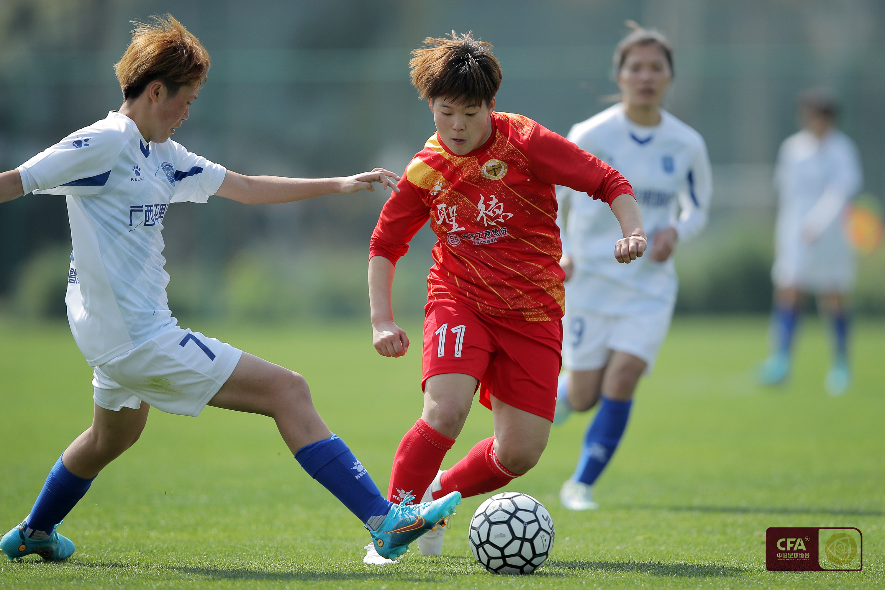 陈婉婷对中国女足赢得亚洲杯冠军,陈婉婷女足新帅尘埃落定