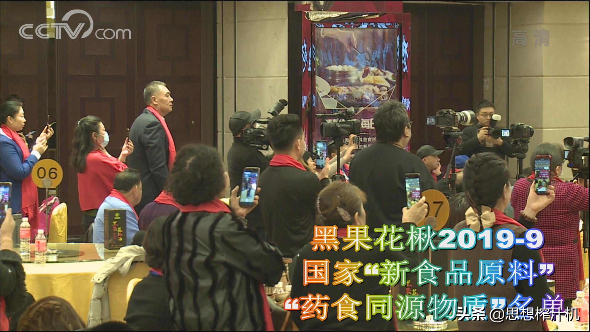 黑果花楸市场前景如何,辽宁黑果花楸苗基地