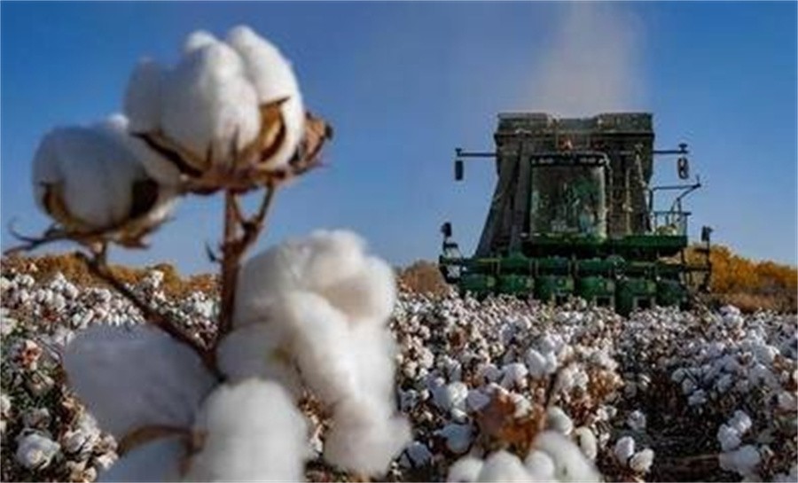 “*疆新**棉花”事件的真凶许秀中，*国卖**求荣，如今生活困难却想回国