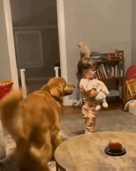 老婆不知去哪买的这衣服，刚进家门就给我吓了一身汗，好尴尬