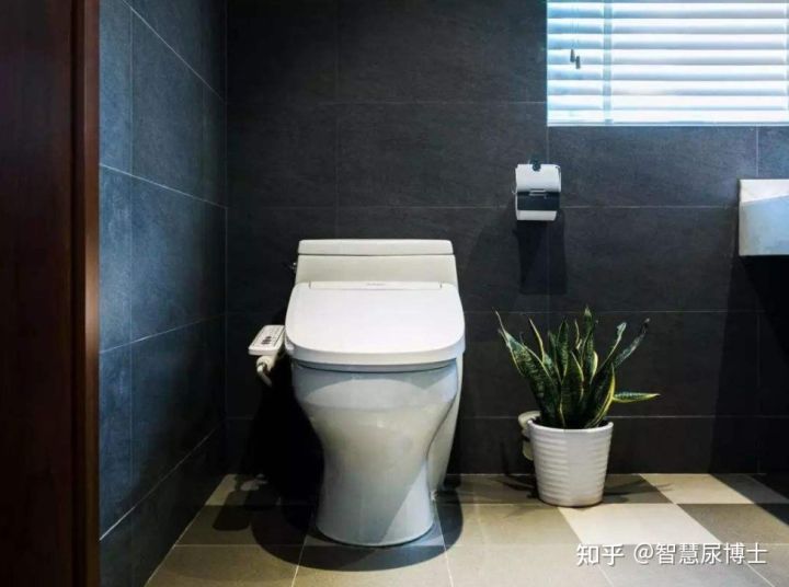 日本智能马桶好还是国产的马桶好,日本原装进口智能马桶价格表