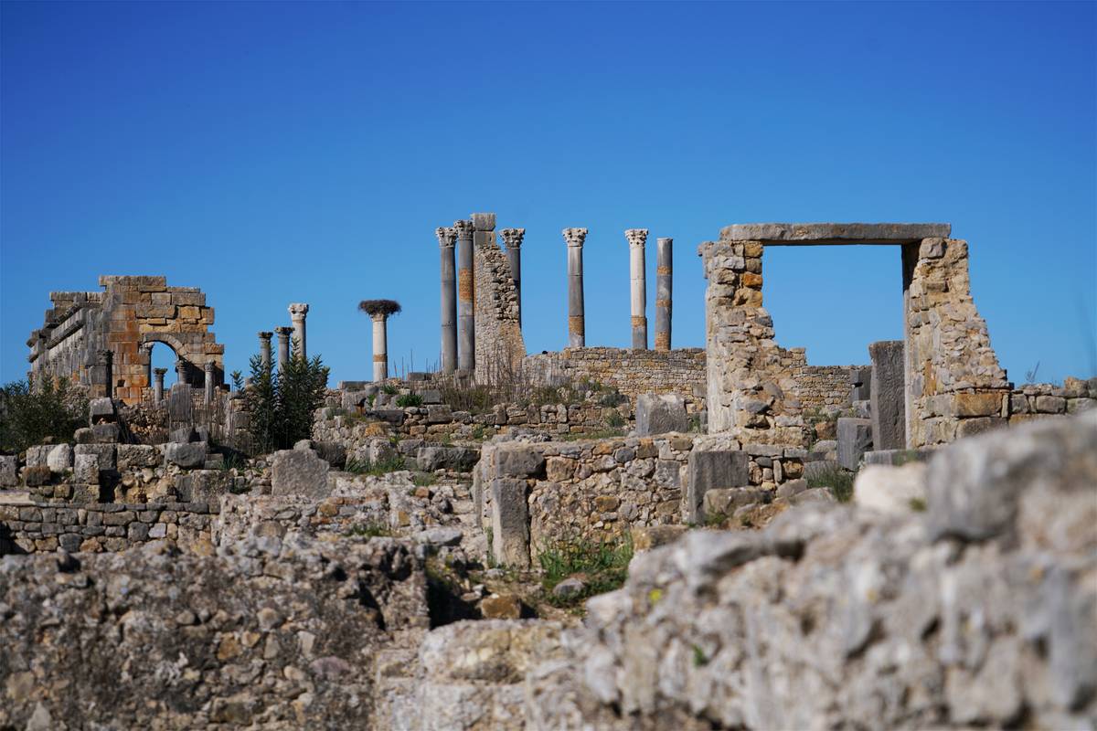 家子法对于古罗马社会结构与家庭的日常生活影响，你知道吗？