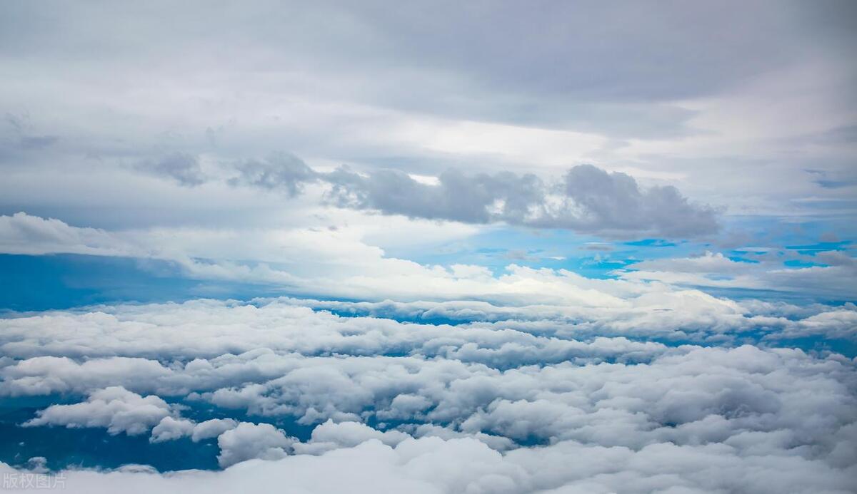 进化论错误怎么回事,进化论真的是错的吗