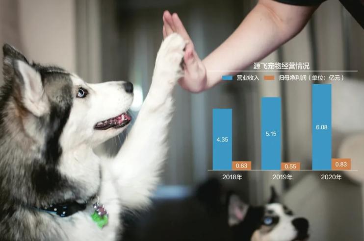 宠物成黄金赛道，遛狗绳一年赚6亿，温州姐弟把狗生意做上市