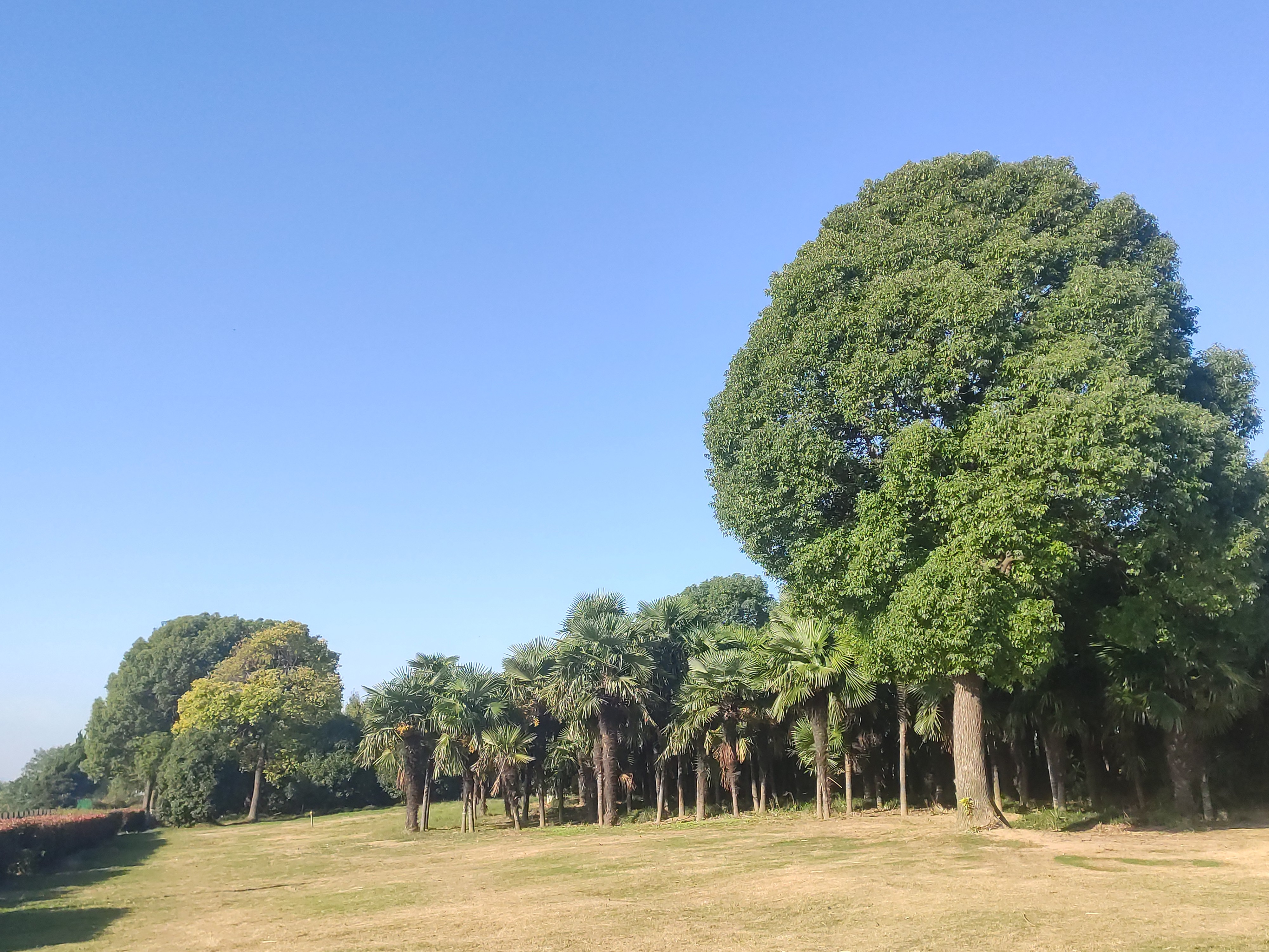 靖江周围有哪些特色旅游景点,不输5a的景区