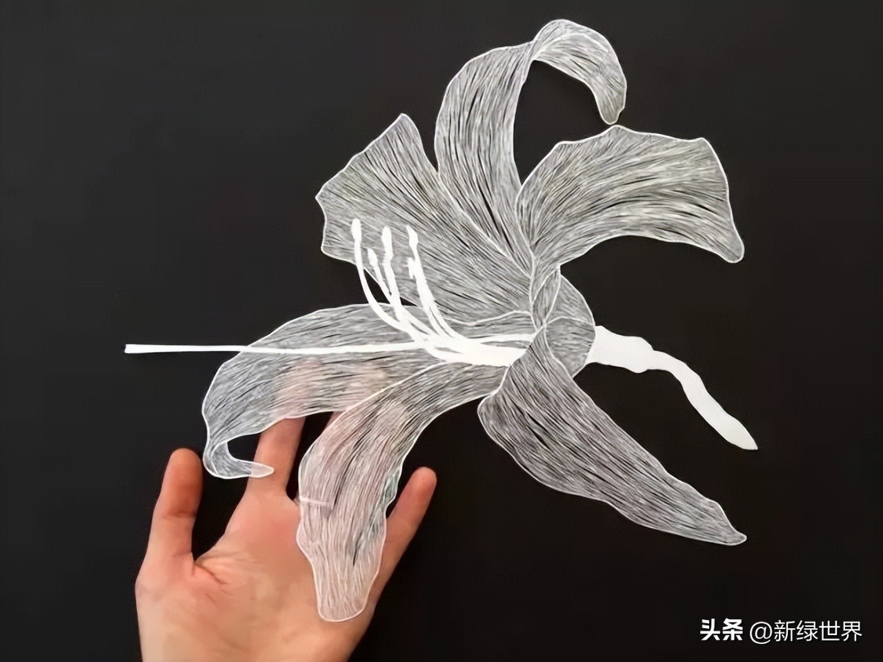 一组纸艺作品,令人惊艳的纸艺作品