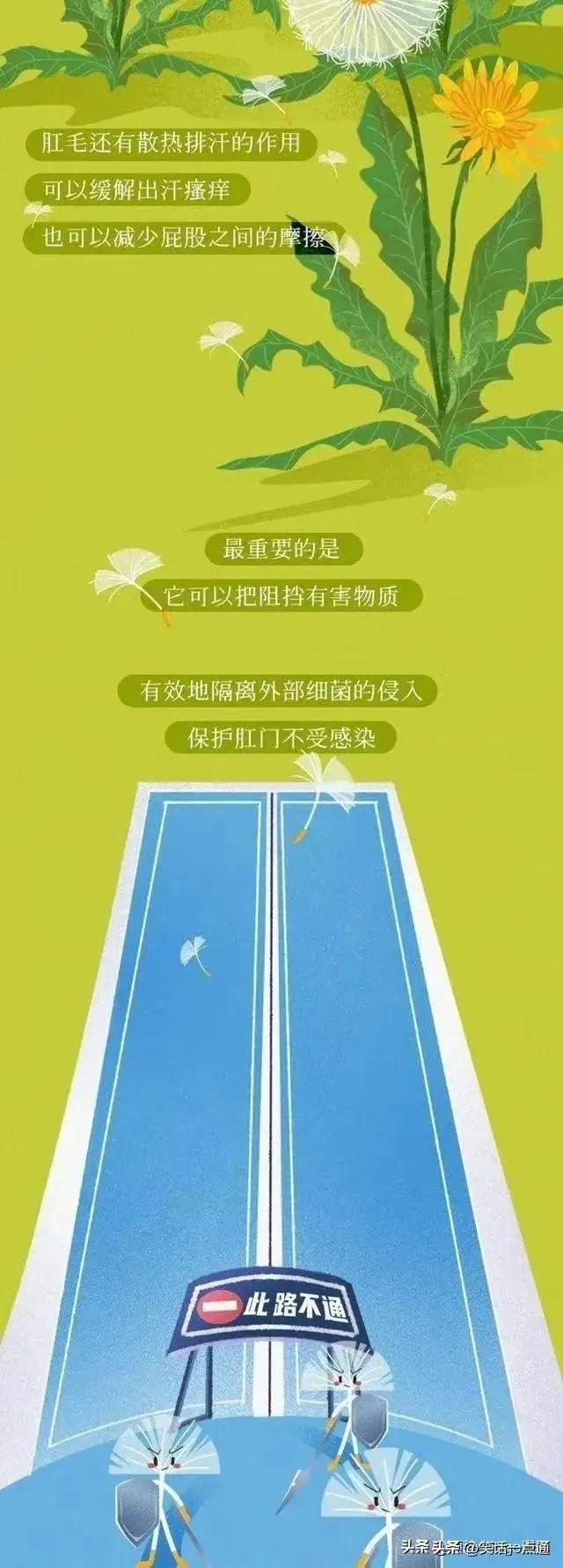 肛门周围为什么会长“毛”？可以刮掉吗？（漫画）