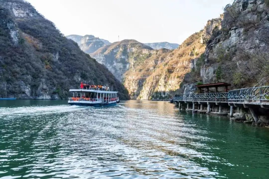 半价门票,景区免票半价