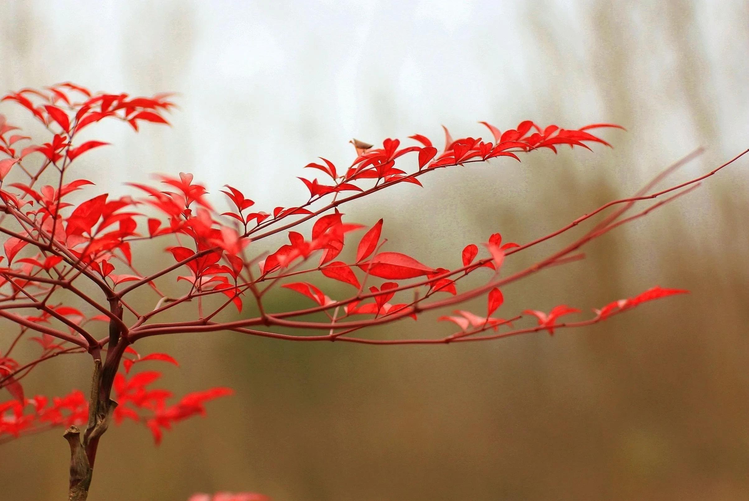 用佳能60d拍照片,新手用佳能600d教程