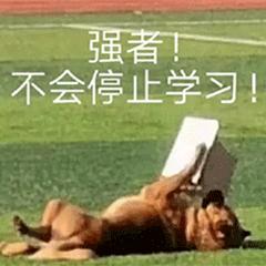 超市里的塑料袋能当食品袋用么 (超市的PE袋能装食品吗)