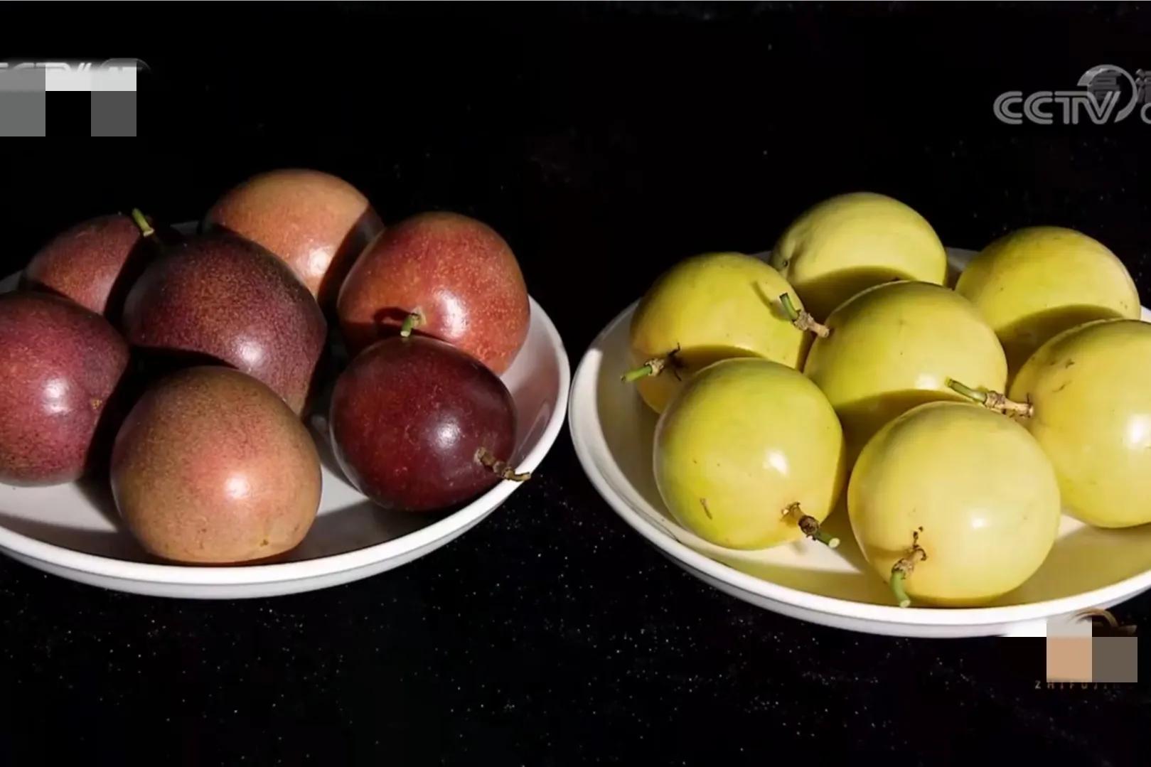 湖南小伙承包五千亩四年赚上千万,90后小伙承包15亩果园