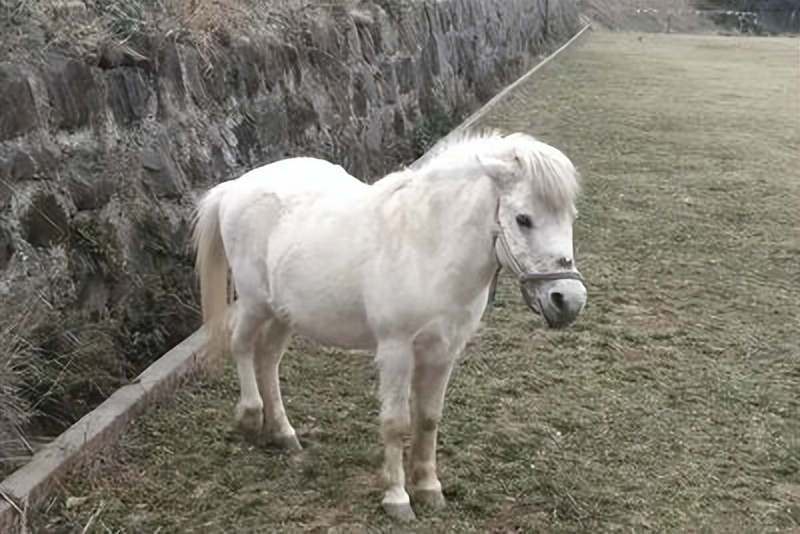 来农家乐的乐趣,来山水农家享受大自然的美景