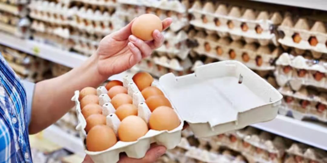 德国消费者信心先行,德国消费者的现状