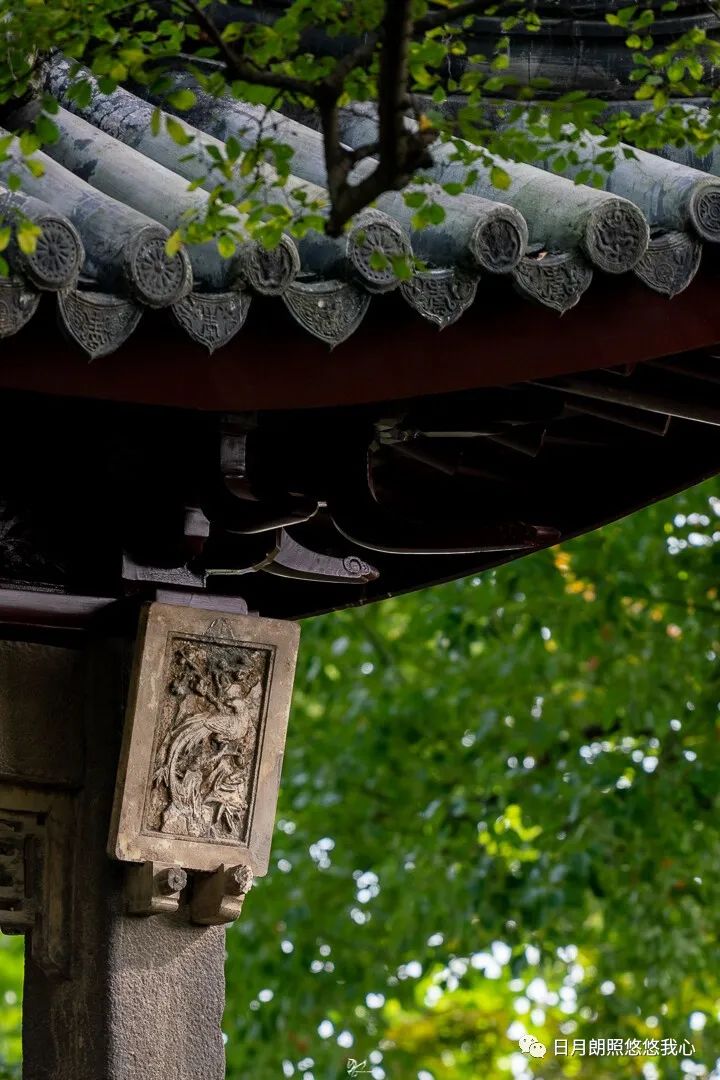 沧浪之水兮可以濯吾缨,沧浪之水浊兮可以濯我足