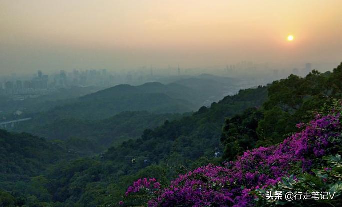 白云山民宿排行榜前十名,广州山上最美民宿推荐
