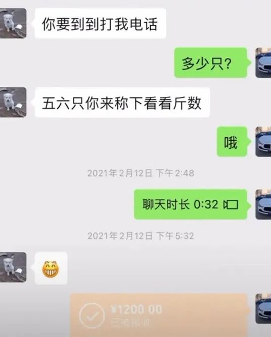 百万网红虐狗事件是真的吗,虐狗事件网红账号被封号