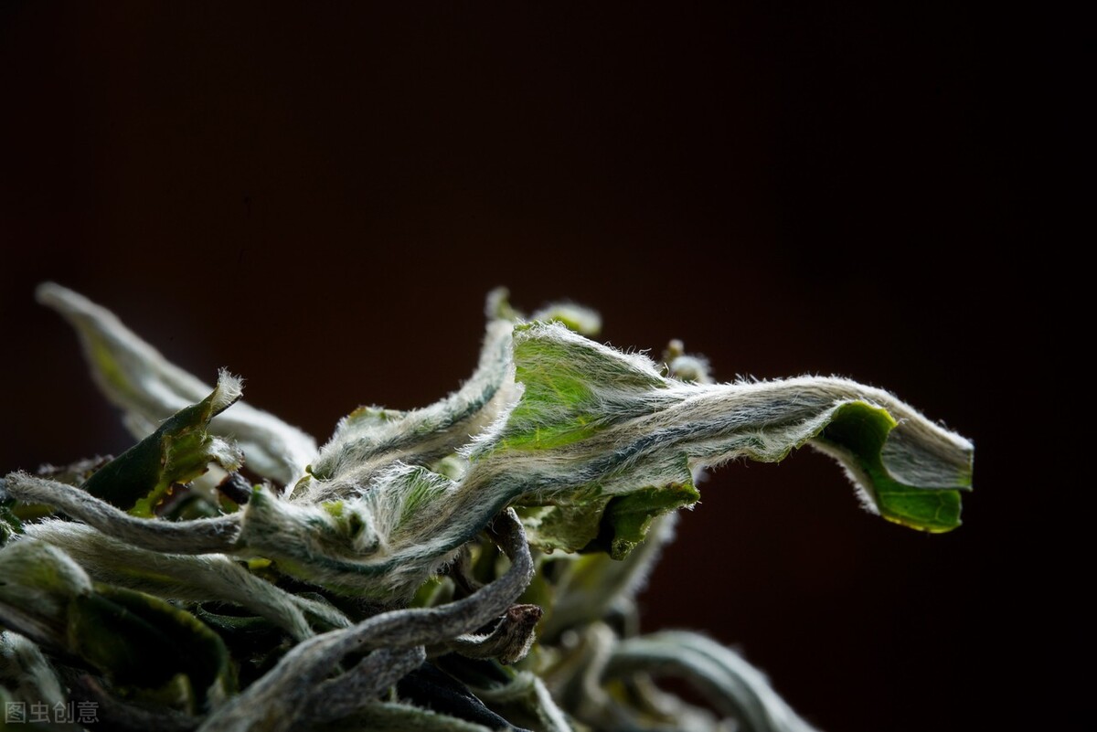 6种可以在夏季喝的茶,夏天到了喝什么茶去火