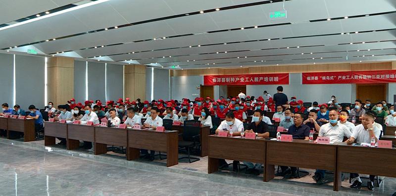 候鸟报道,候鸟务工